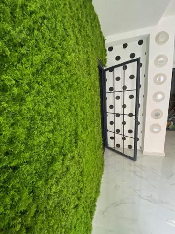 Suite 43 Terrasini Luaran gambar
